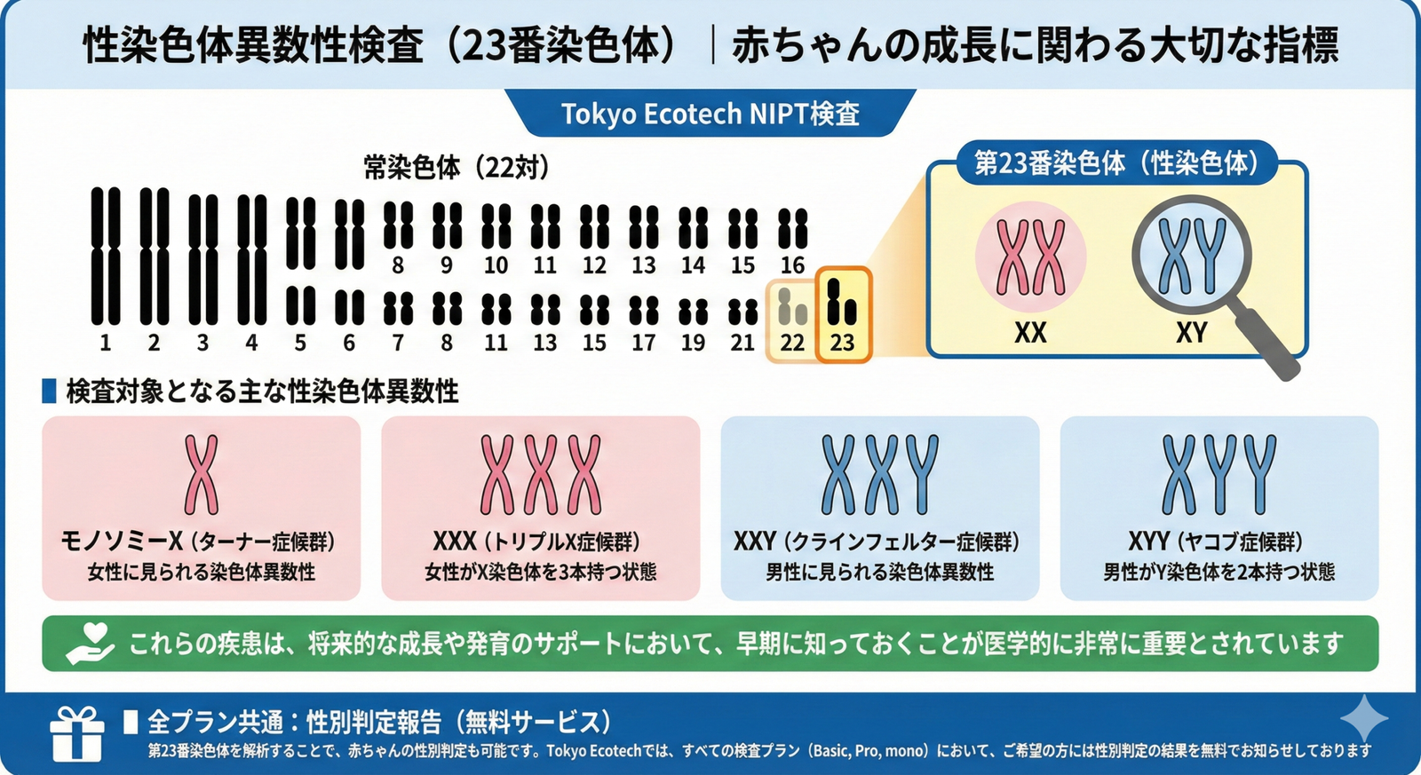 NIFTY® 常染色体異数性検査（1〜22番染色体）｜精度99%を超える次世代NIPT Tokyo EcotechのNIPT検査は、世界基準のNIFTY®技術を採用し、赤ちゃんの健康状態を高い精度で確認できる新型出生前診断です。
