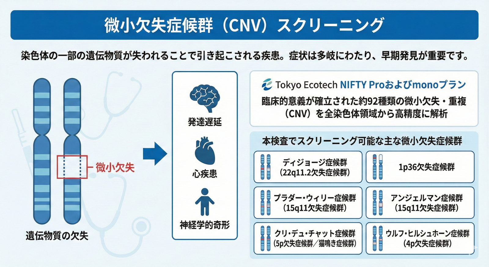 微小欠失症候群（CNV）スクリーニング 微小欠失症候群は、染色体の一部の遺伝物質が失われることで引き起こされる疾患です。症状の重症度は多岐にわたり、軽度の発達遅延から、心疾患や神経学的奇形などの重篤な合併症を伴う場合もあります。Tokyo EcotechのNIFTY Proおよびmonoプランでは、臨床的意義が確立された約92種類の微小欠失・重複（CNV）を全染色体領域から高精度に解析します。