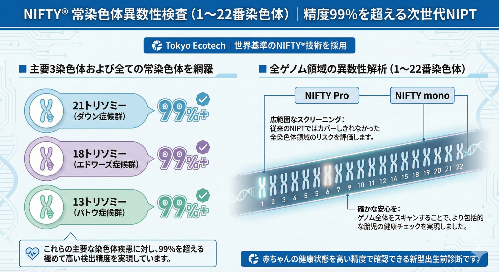 性染色体異数性検査（23番染色体）｜赤ちゃんの成長に関わる大切な指標 Tokyo EcotechのNIPT検査では、22対の常染色体に加え、性別を決定する**第23番目の染色体（性染色体）**についても精密なスクリーニングを行います。